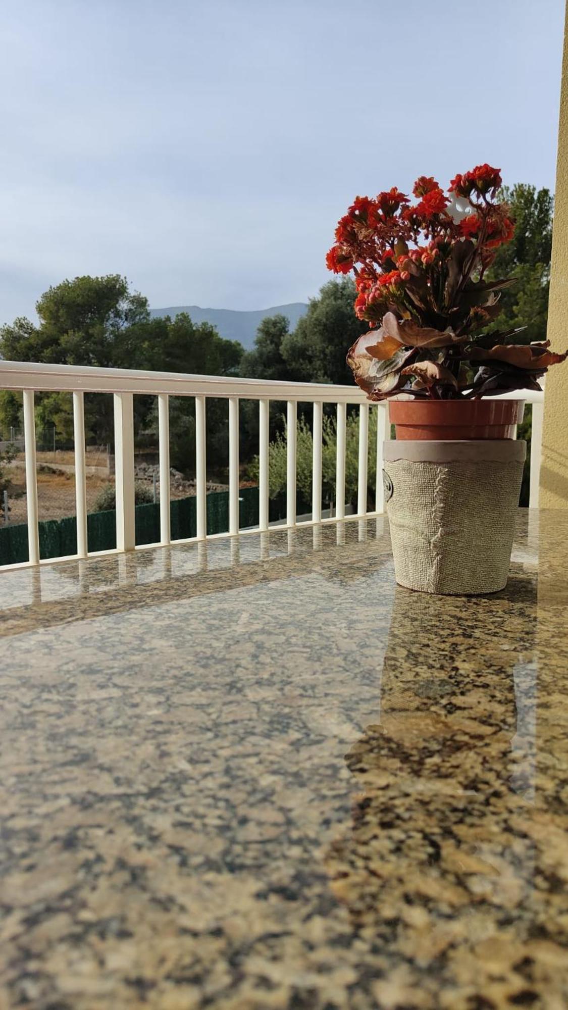 Apartamentos Montsia Mar Sant Carlos de la Ràpita Dış mekan fotoğraf